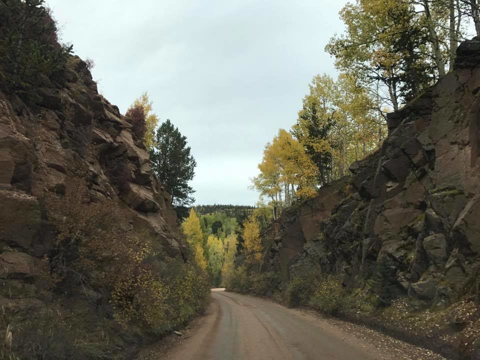 Fall foliage